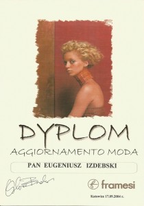 dypl tata framesi04r