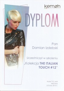 dypl.kemo.kolekc13r