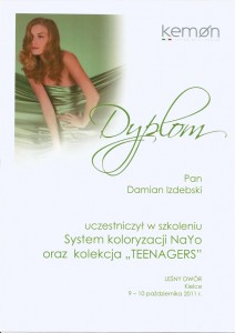 dypl.kemon NaYo11r