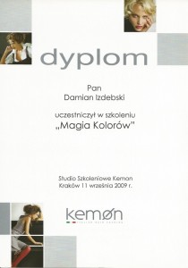 dypl.kemon farby krakow