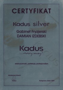 cert silv kemon (2)